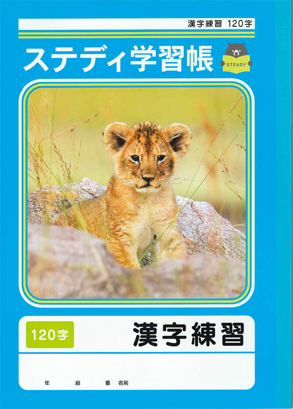 漢字練習 120字  40枚